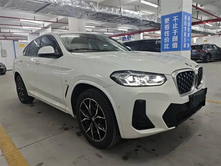 BMW X4 xDrive 25 i M Sport Package
