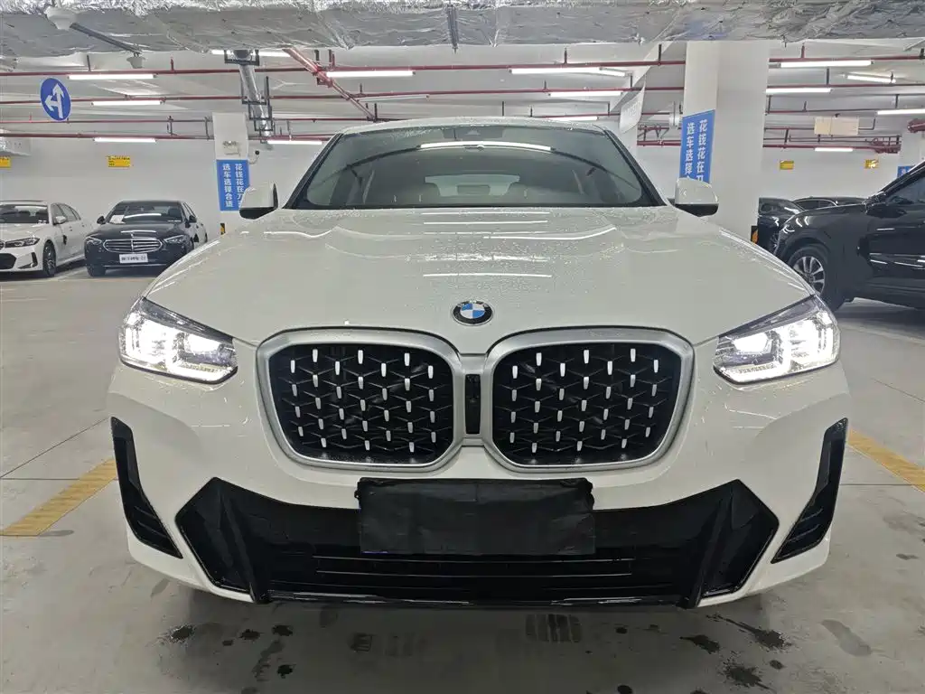 BMW X4 xDrive 25 i M Sport Package