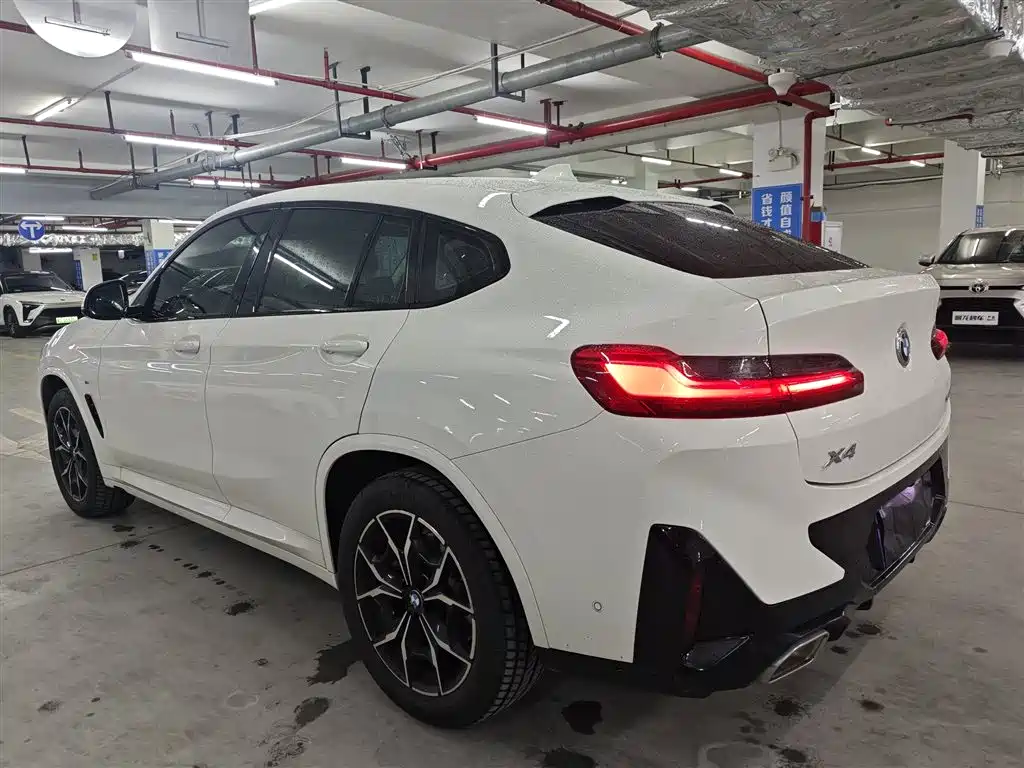 BMW X4 xDrive 25 i M Sport Package