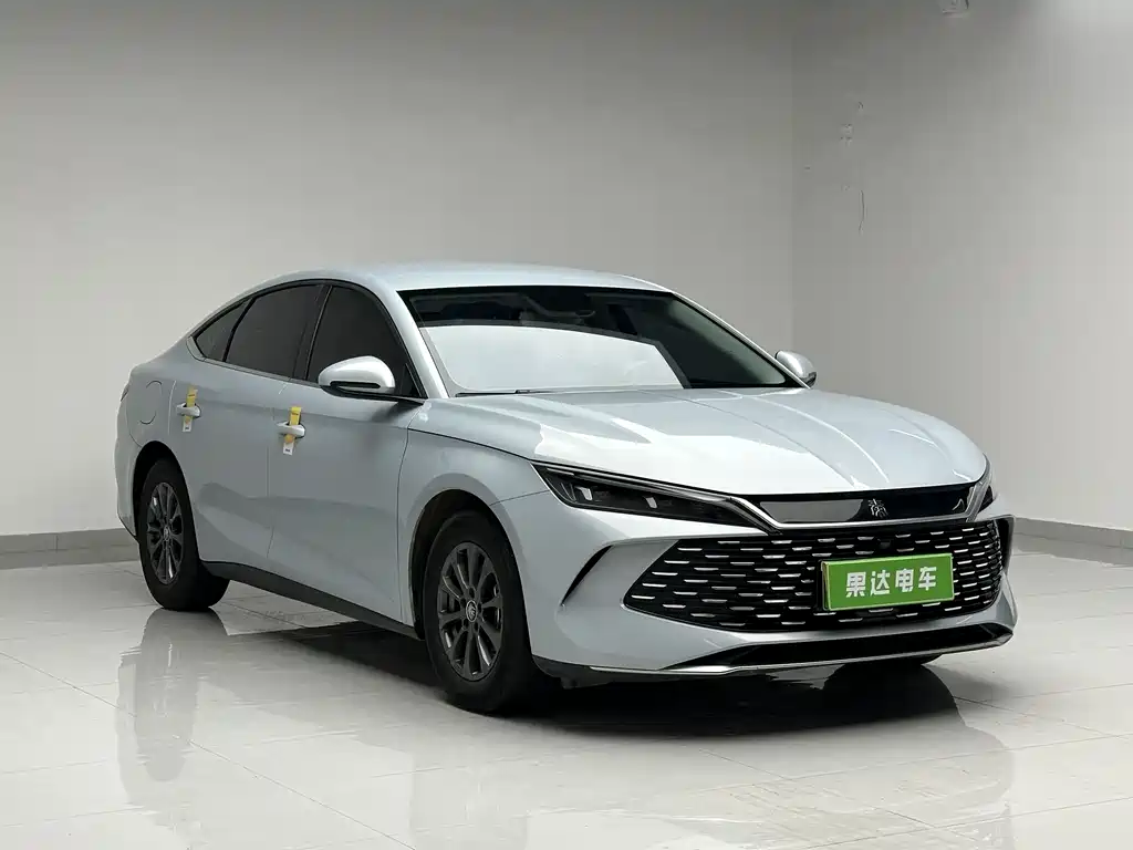 Qin L DM-i 80 KM Leading