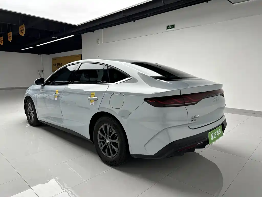 Qin L DM-i 80 KM Leading