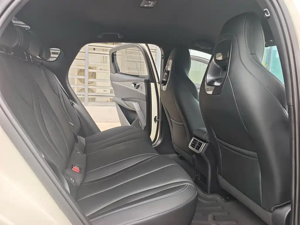 Seal 06 DM-i Smart Drive 80 KM Luxury