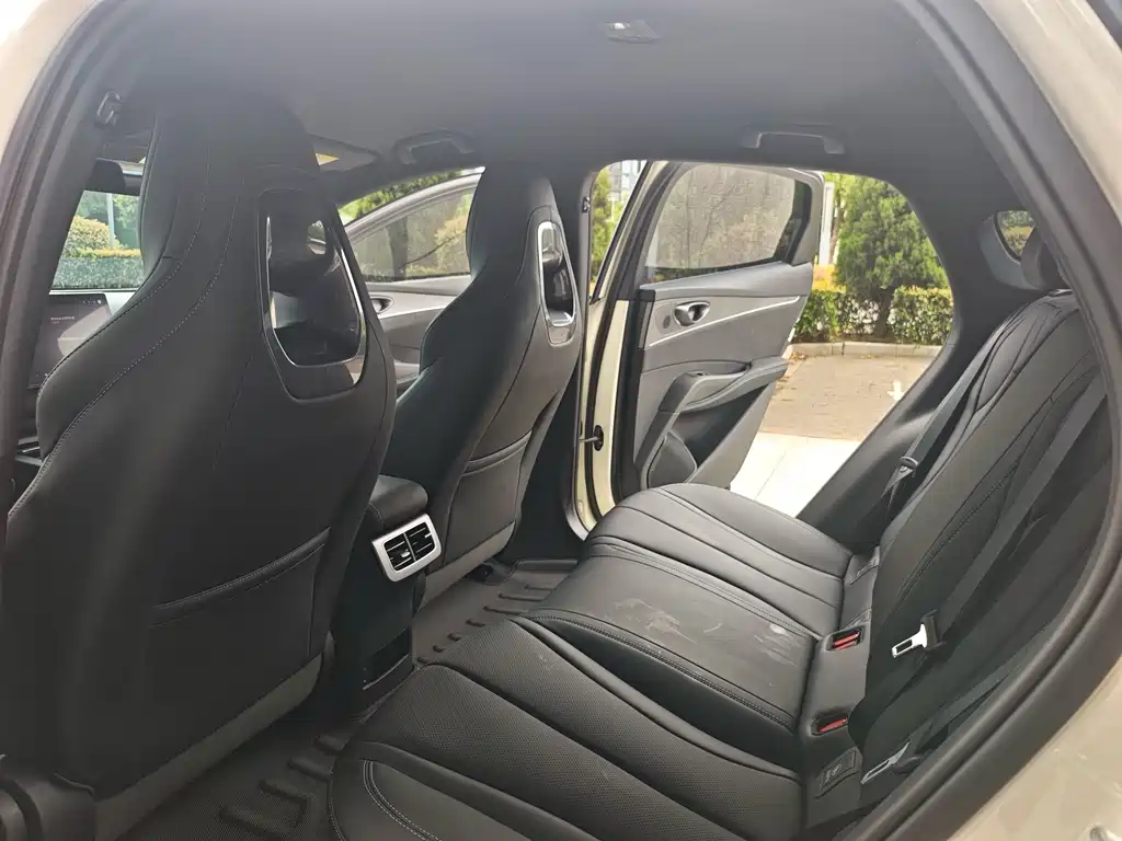 Seal 06 DM-i Smart Drive 80 KM Luxury