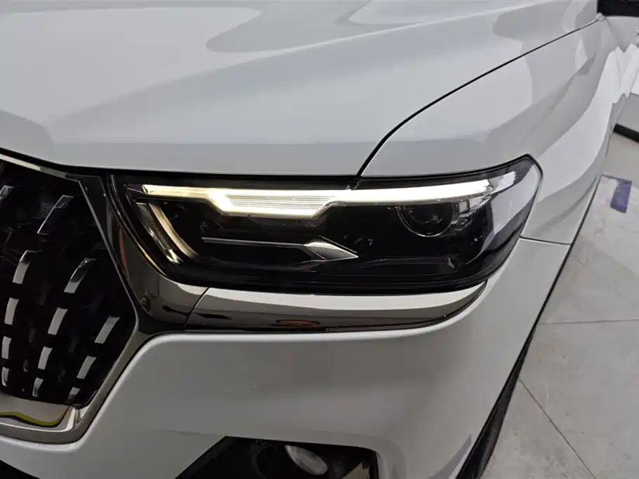 Haval H6 China Style 1.5 T Auto Urban