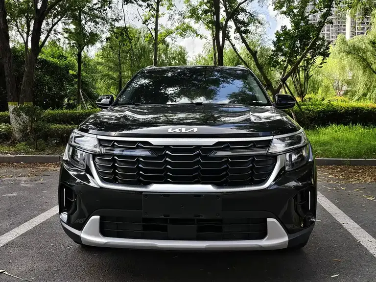 Kia Seltos 1.5 L CVT Luxury