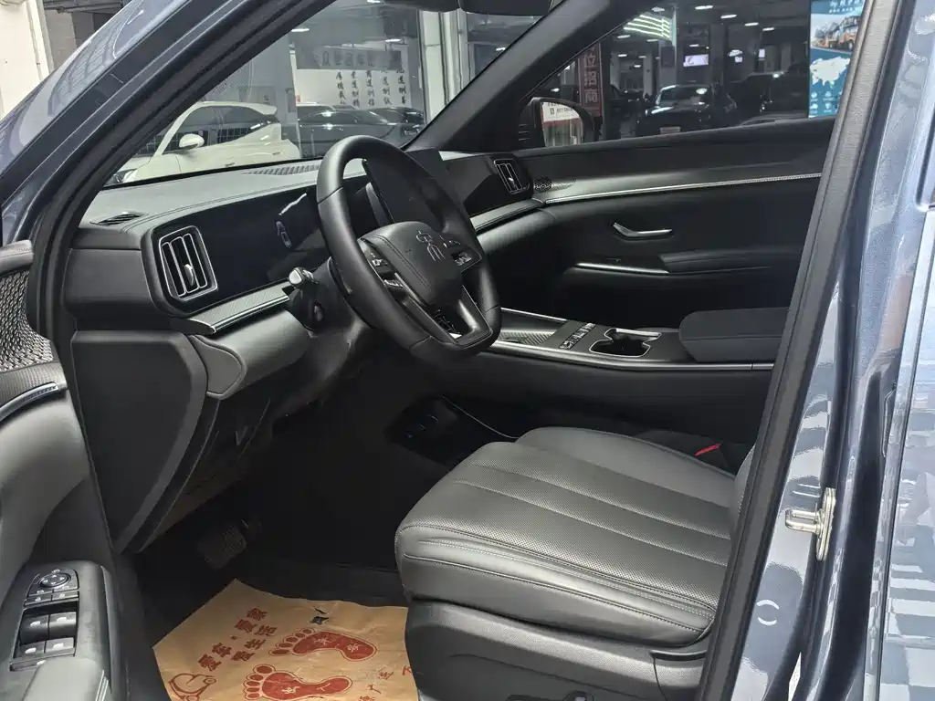 Song Pro NEV DM-i 133 KM Transcend