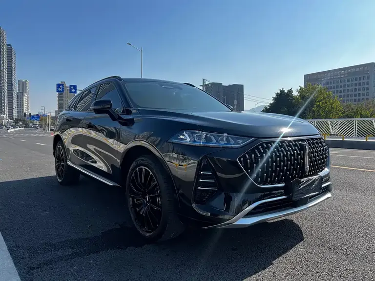 WEY Mocha 2.0 T 2 WD Pure