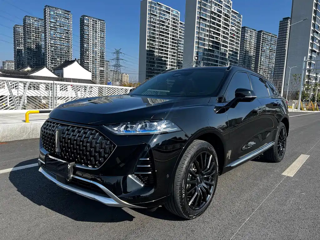 WEY Mocha 2.0 T 2 WD Pure