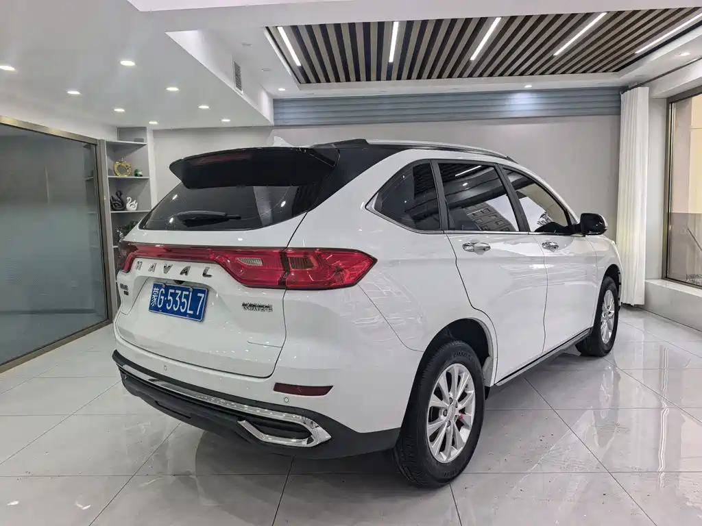 Haval M6 PLUS 1.5 T DCT Luxury Connected
