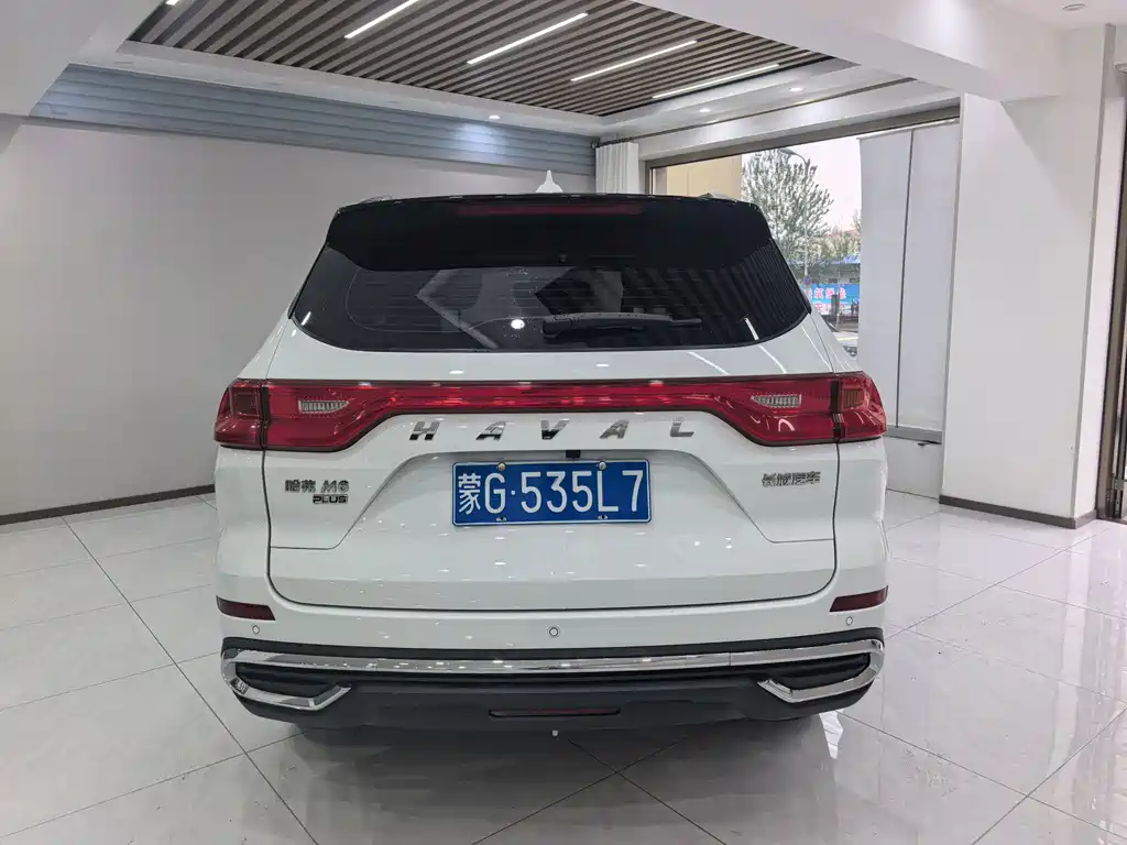 Haval M6 PLUS 1.5 T DCT Luxury Connected