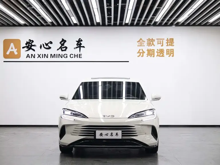 BYD Seal 07 DM-i DM-i 1.5 L 125 km Luxury