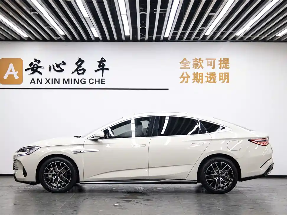 Seal 07 DM-i DM-i 1.5 L 125 km Luxury