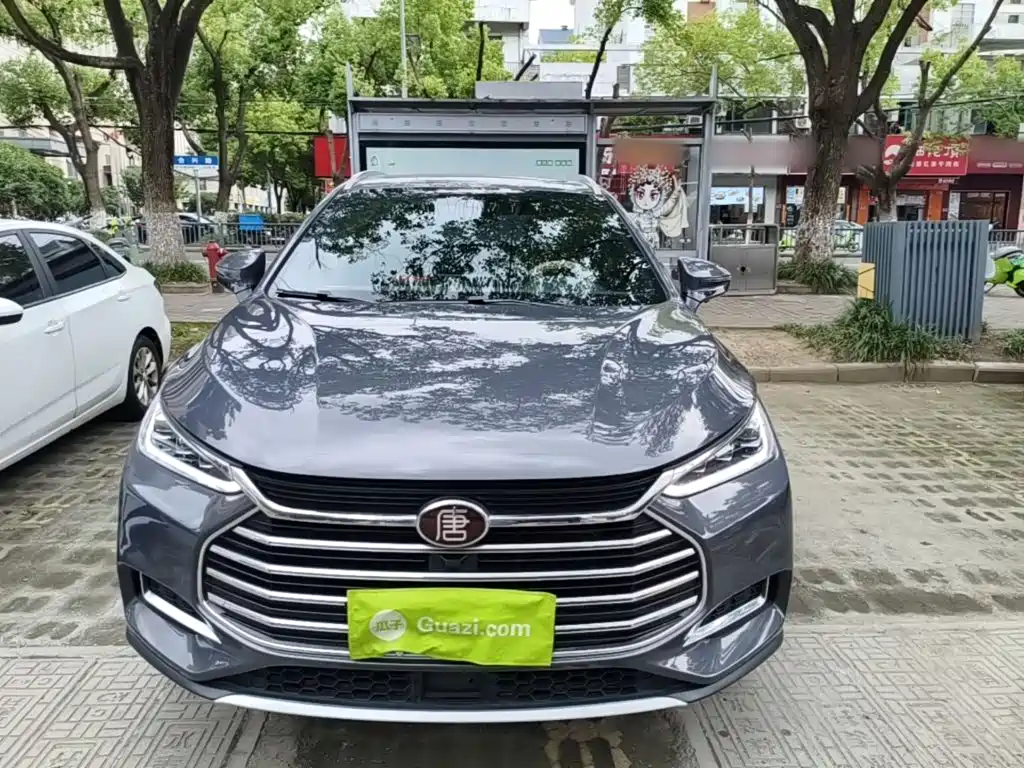 Tang 2.0 T Auto Flagship