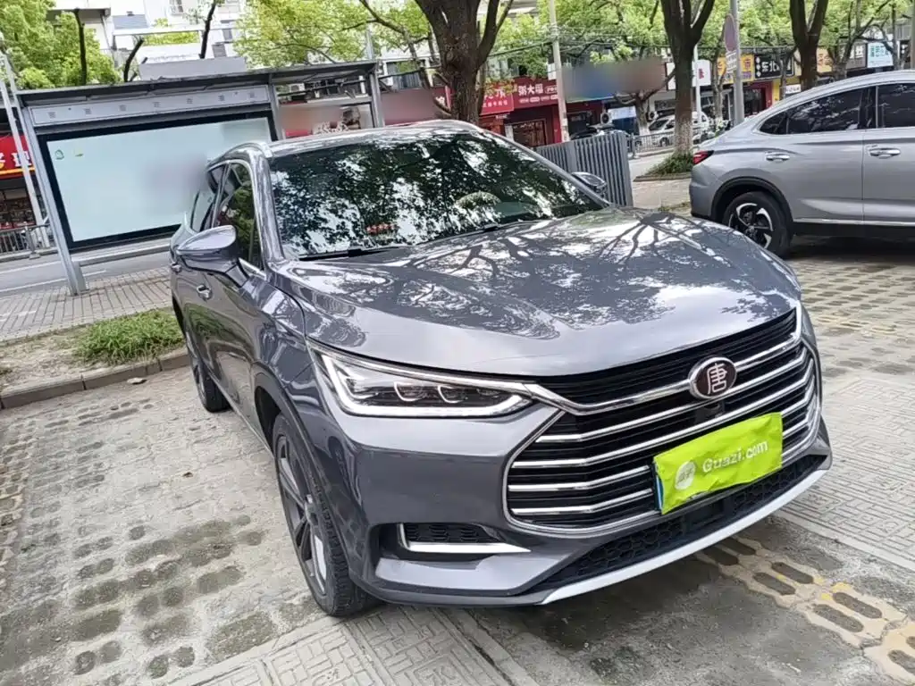 Tang 2.0 T Auto Flagship