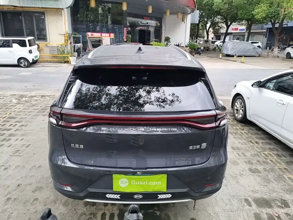 Tang 2.0 T Auto Flagship