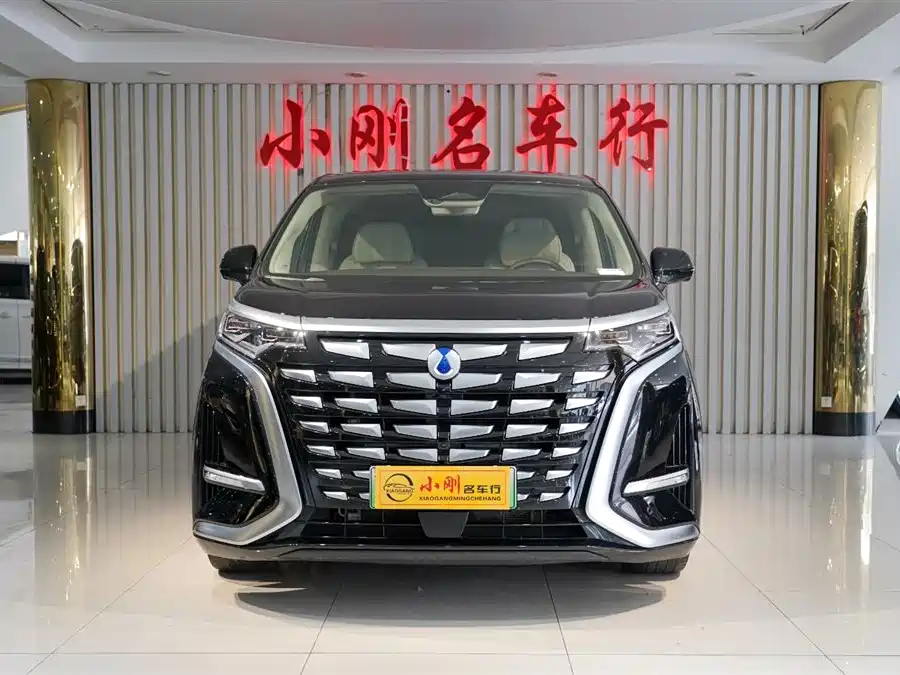 Denza D9 DM-i 970 Luxury
