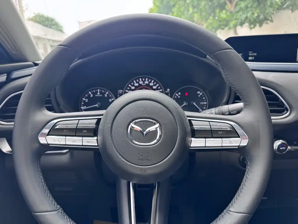Mazda CX-30 2.0 L Auto Elegant Joy