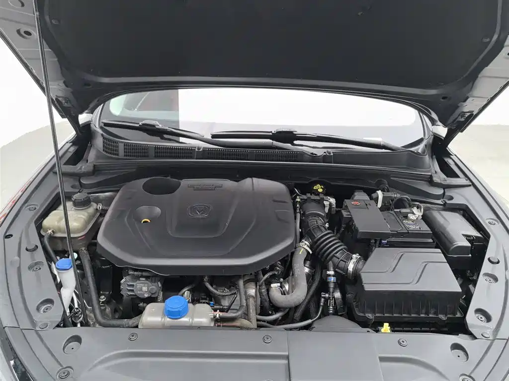 Eado PLUS Blue Whale NE 1.4 T GDI DCT Distinguished