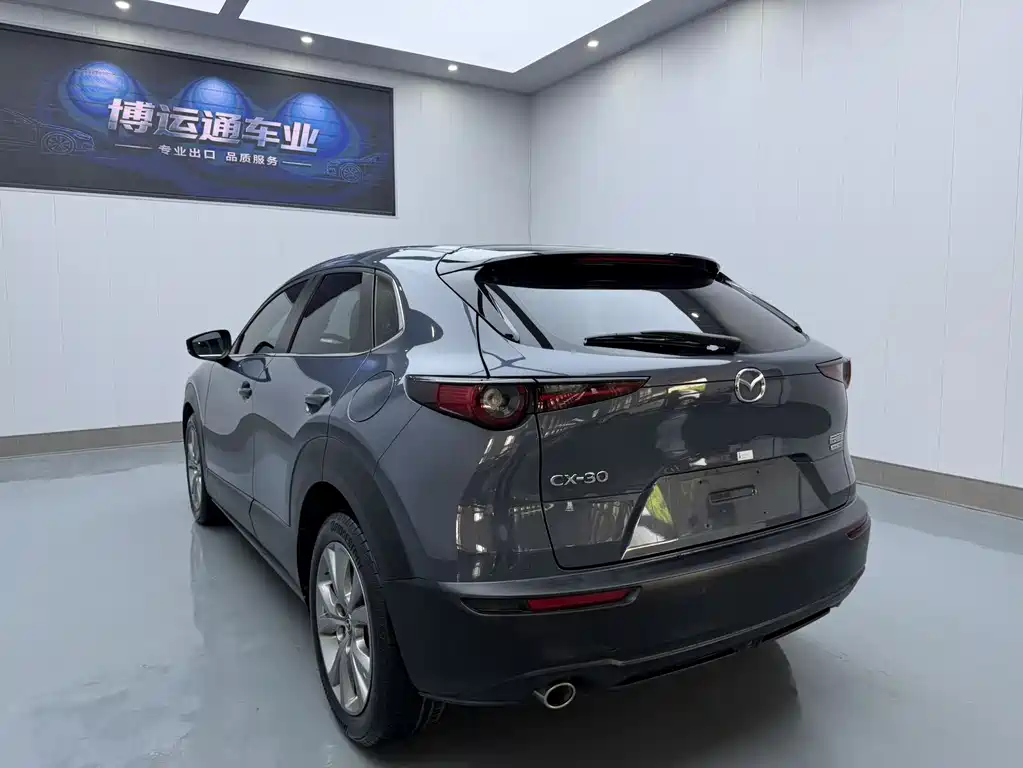 Mazda CX-30 2.0 L Auto Elegant Joy