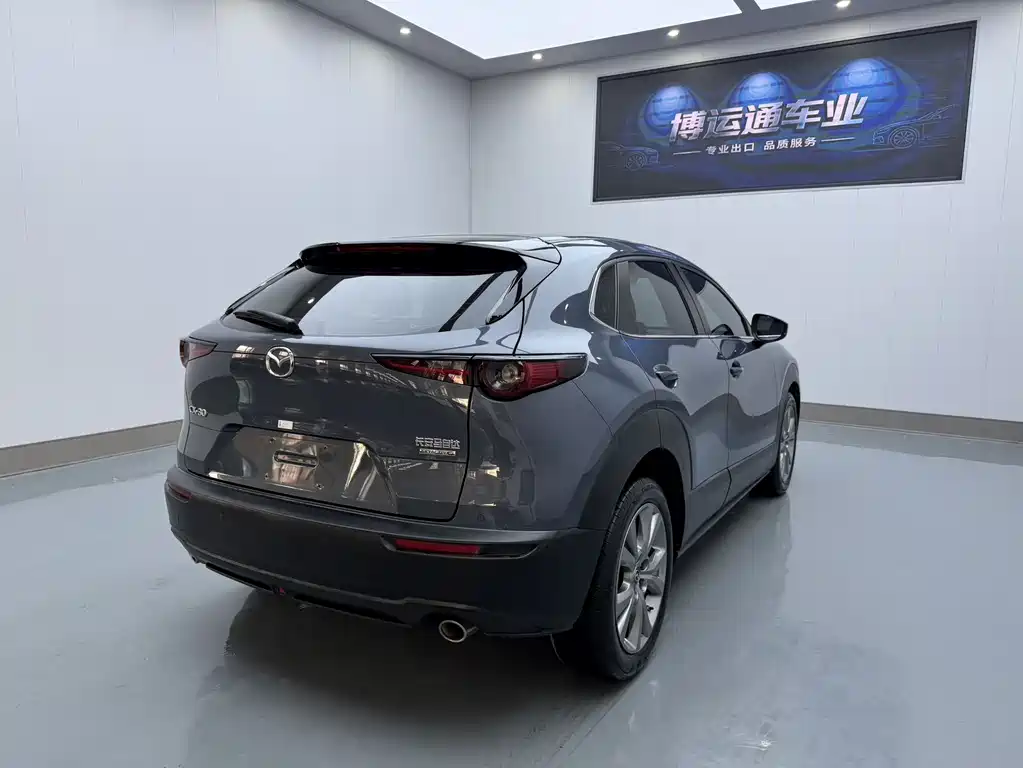 Mazda CX-30 2.0 L Auto Elegant Joy