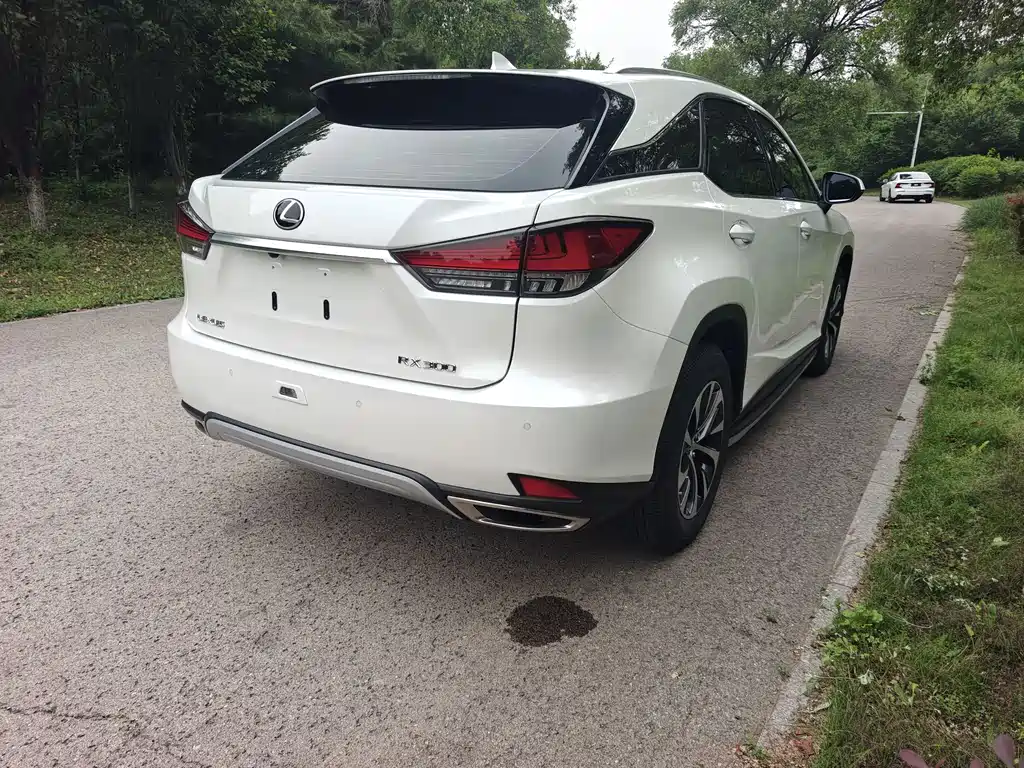 Lexus RX Facelift 300 2 WD Comfort