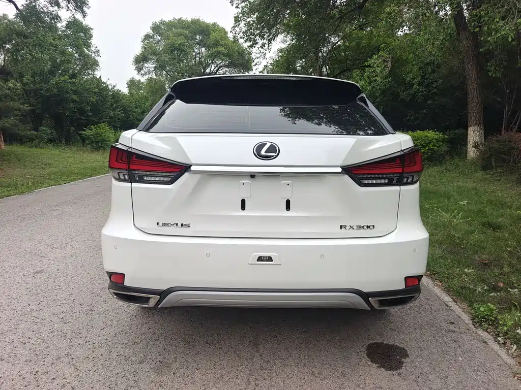 Lexus RX Facelift 300 2 WD Comfort