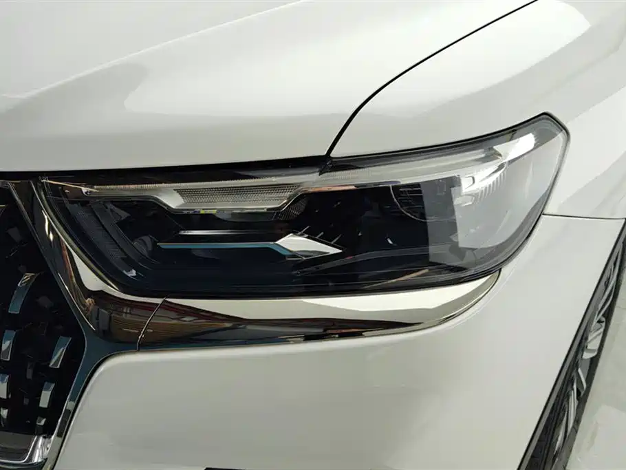 Haval H6 China Style 1.5 T Auto Champion