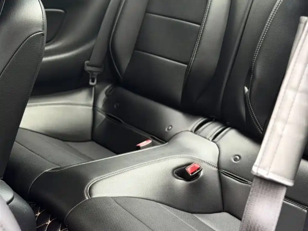Mustang 2.3 T Performance