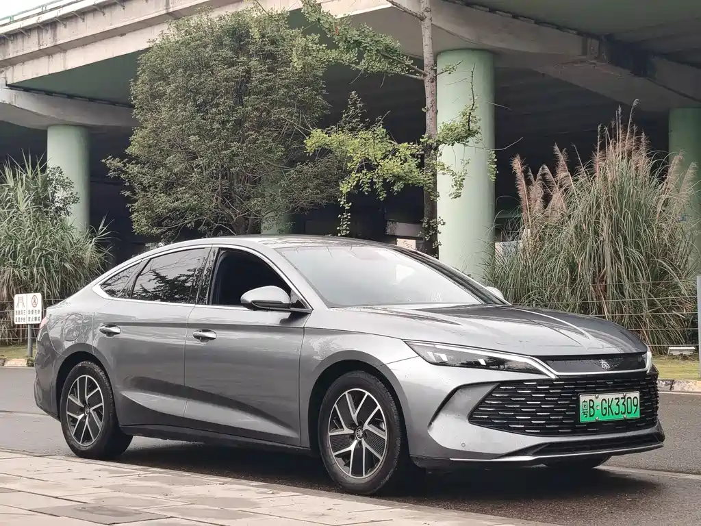 Qin L DM-i 80 KM Transcend