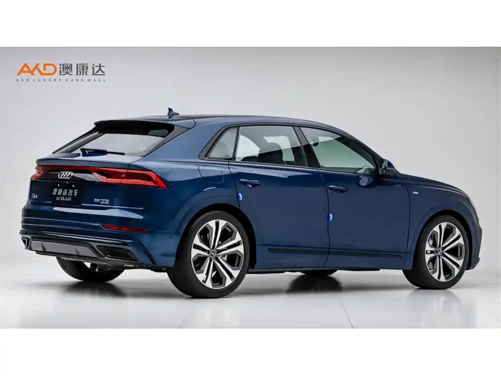 Audi Q8 奥迪Q8/3.0 T/22款/55 TFSI 豪华动感型