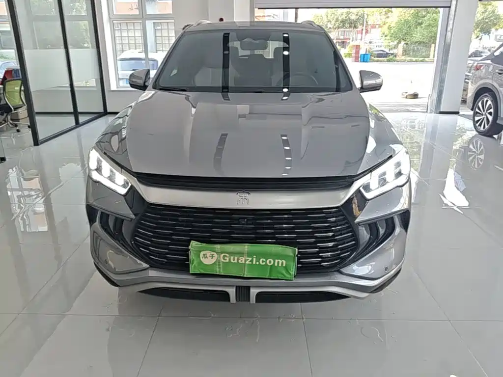 Song Pro NEV Glory DM-i 110 KM Transcend