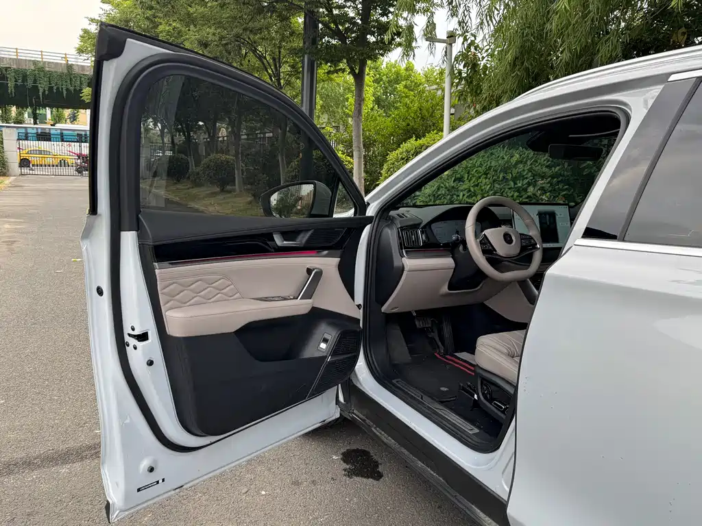Tang NEV Smart Drive DM-i 115 KM Flagship