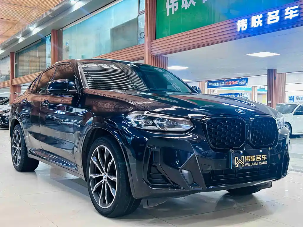 BMW X4 xDrive 30 i M Sport Package