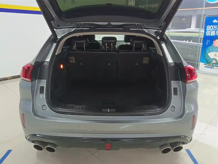 WEY VV5 2.0 T Super Luxury