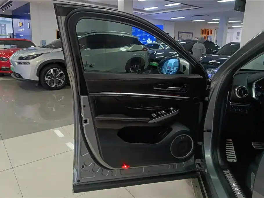 WEY VV5 2.0 T Super Luxury