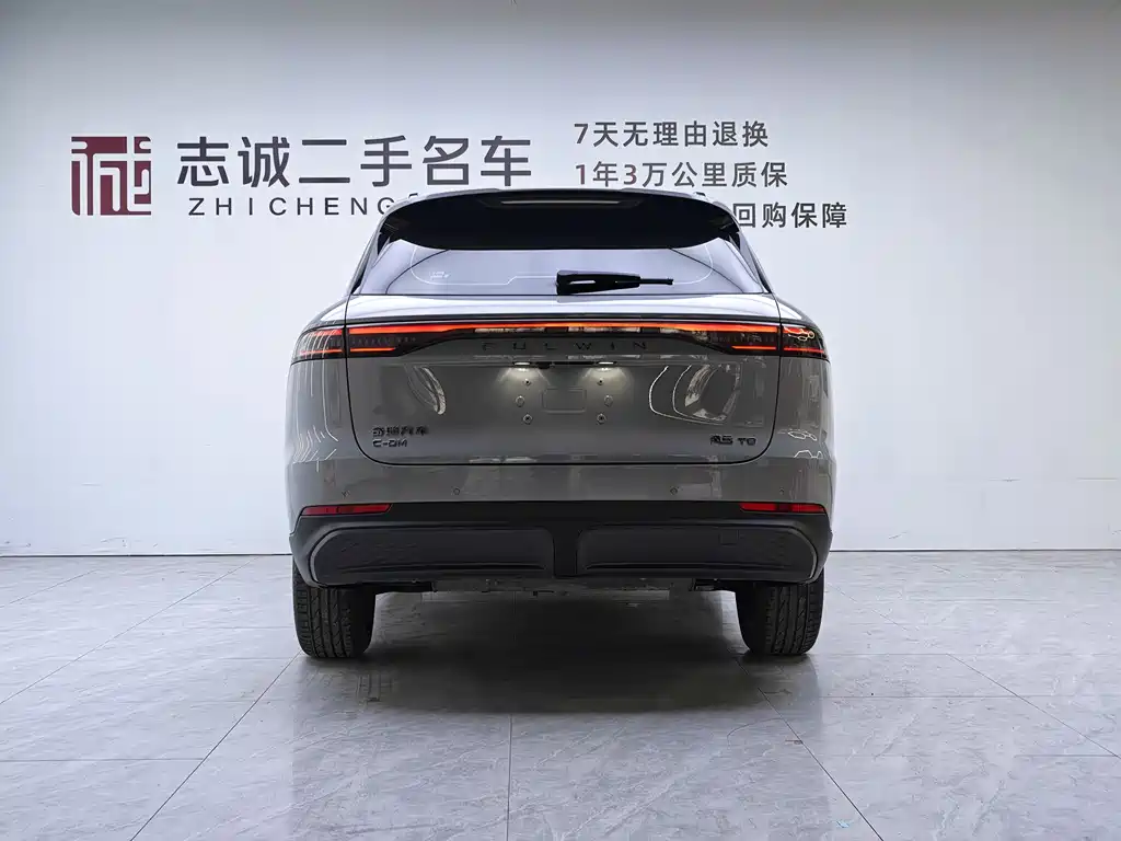 Fengyun T9 120 Long Range Comfort 5-seat Ternary Lithium