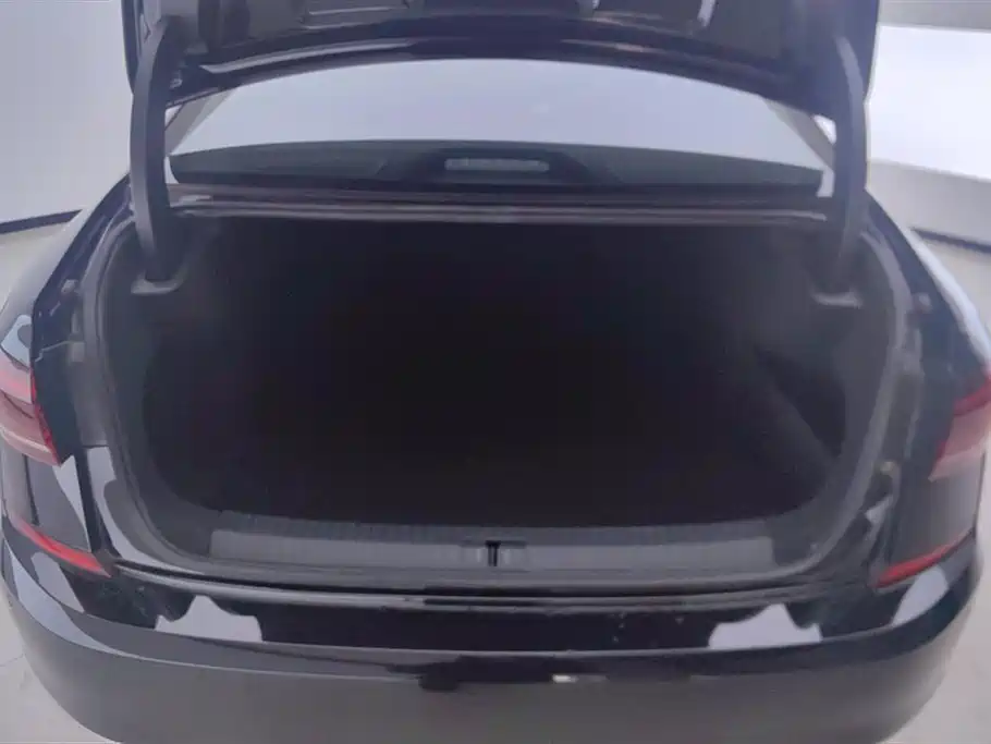 Passat 380 TSI Elite