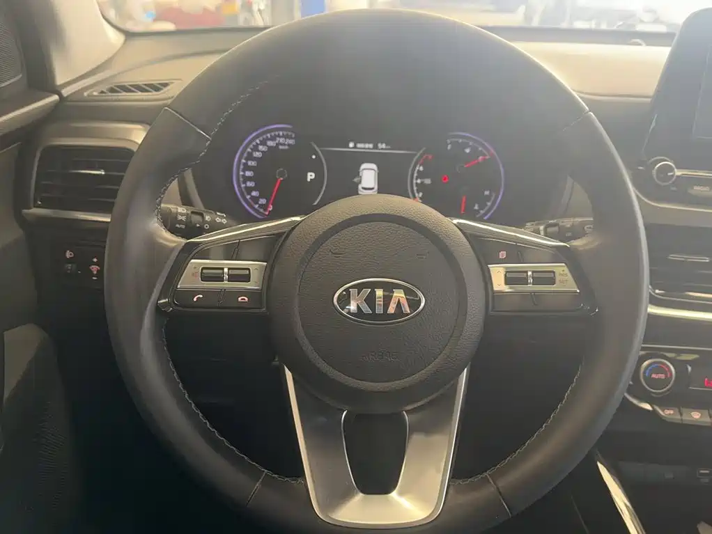 Sportage 2.0 L Auto Smart Enjoyment Luxury