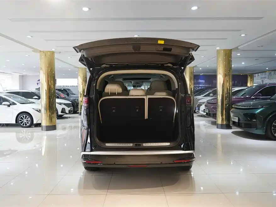 Denza D9 DM-i Smart Drive 1020 4 WD Flagship