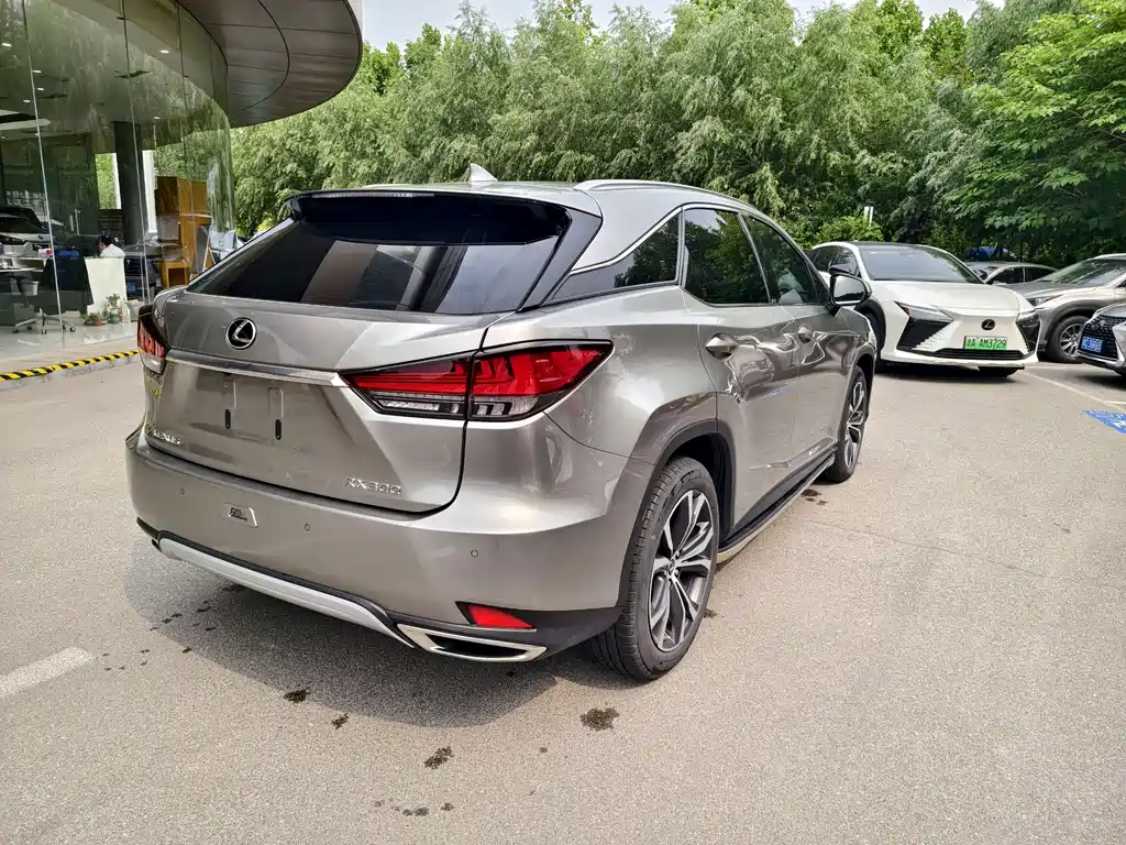 Lexus RX 300 4 WD Elegant CN-VI
