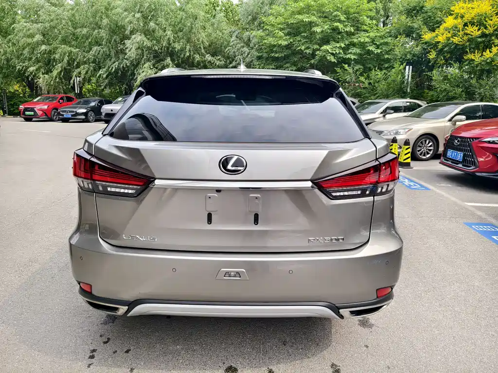 Lexus RX 300 4 WD Elegant CN-VI
