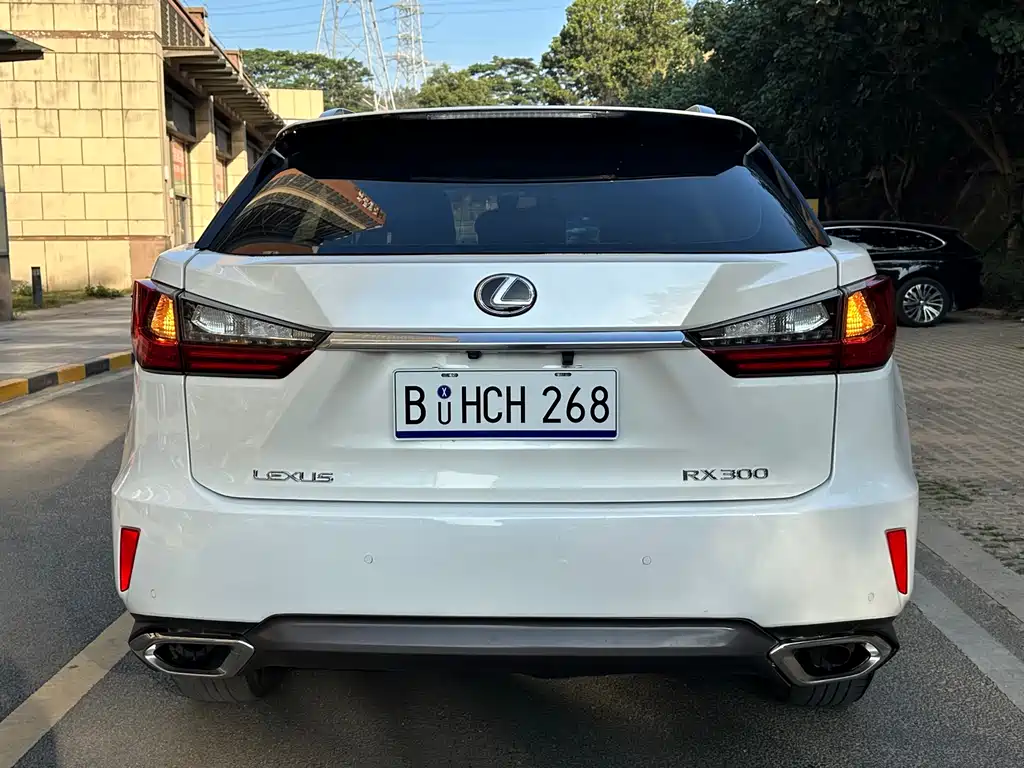 Lexus RX 300 2 WD Elite CN-V