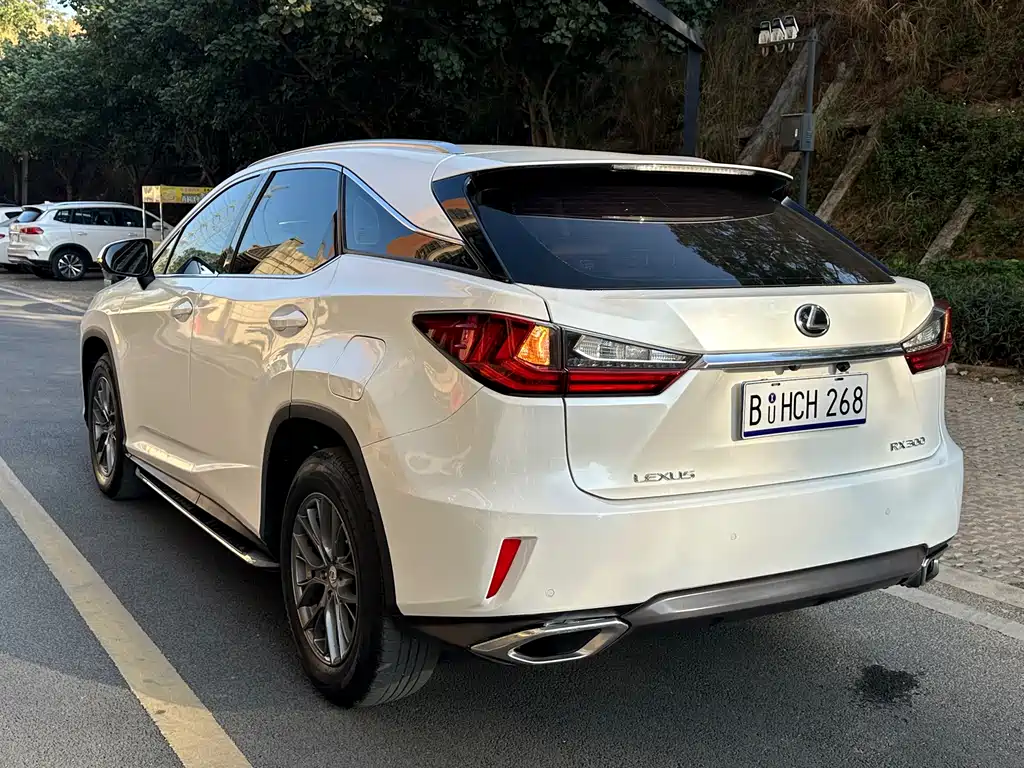 Lexus RX 300 2 WD Elite CN-V