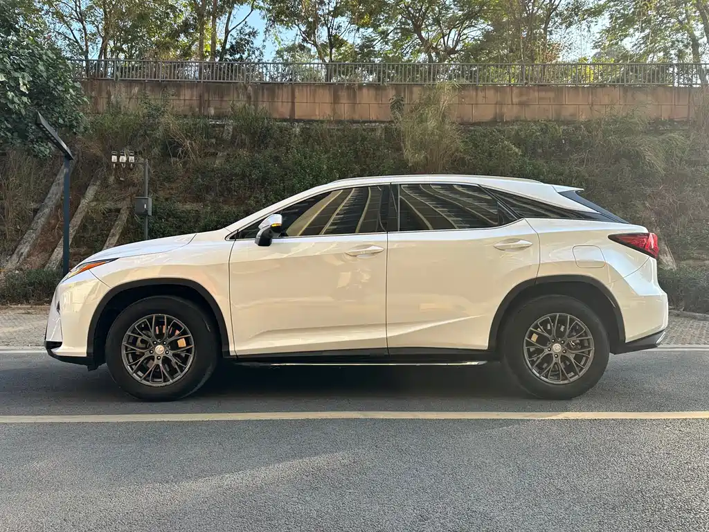 Lexus RX 300 2 WD Elite CN-V