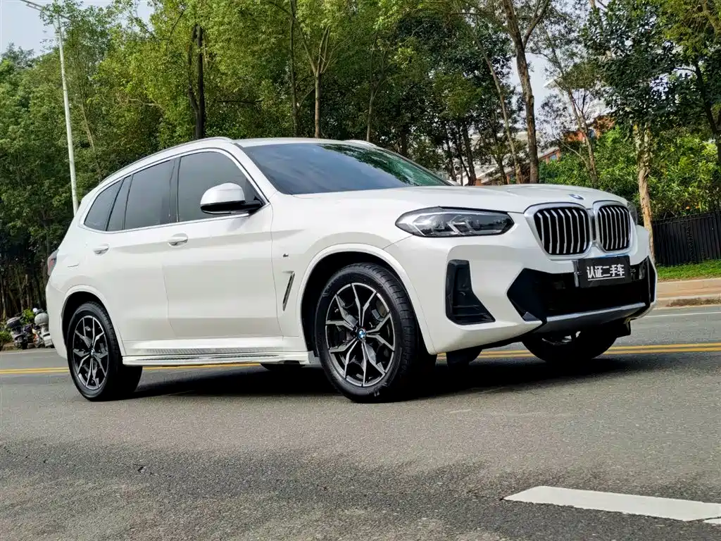 BMW X3 xDrive25 i M Sport Package