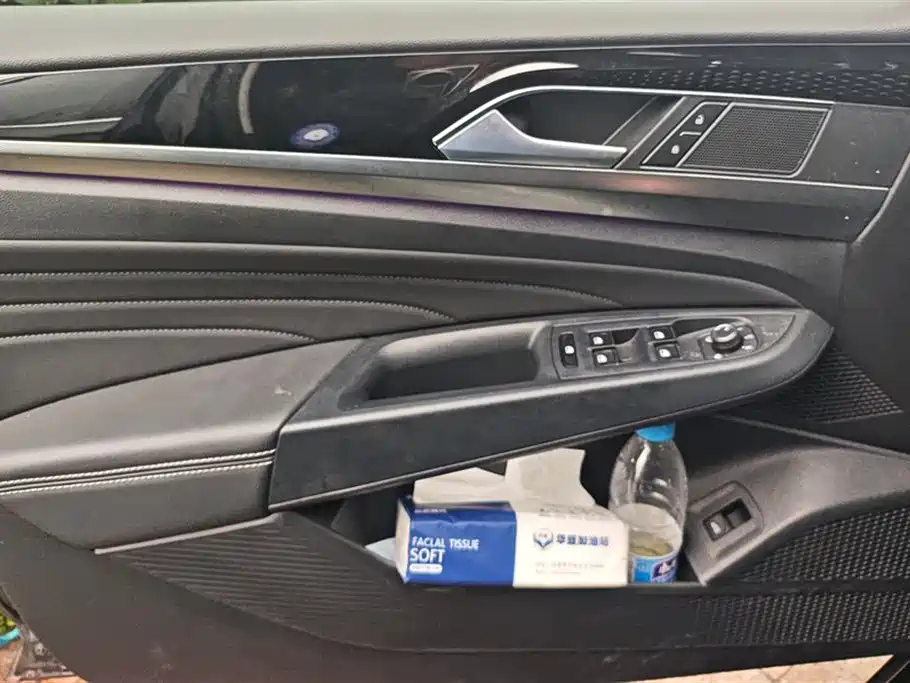 Passat 380 TSI Starry Sky Luxury