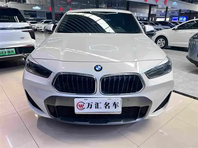 BMW X2 sDrive25 i Premium M Sport Package