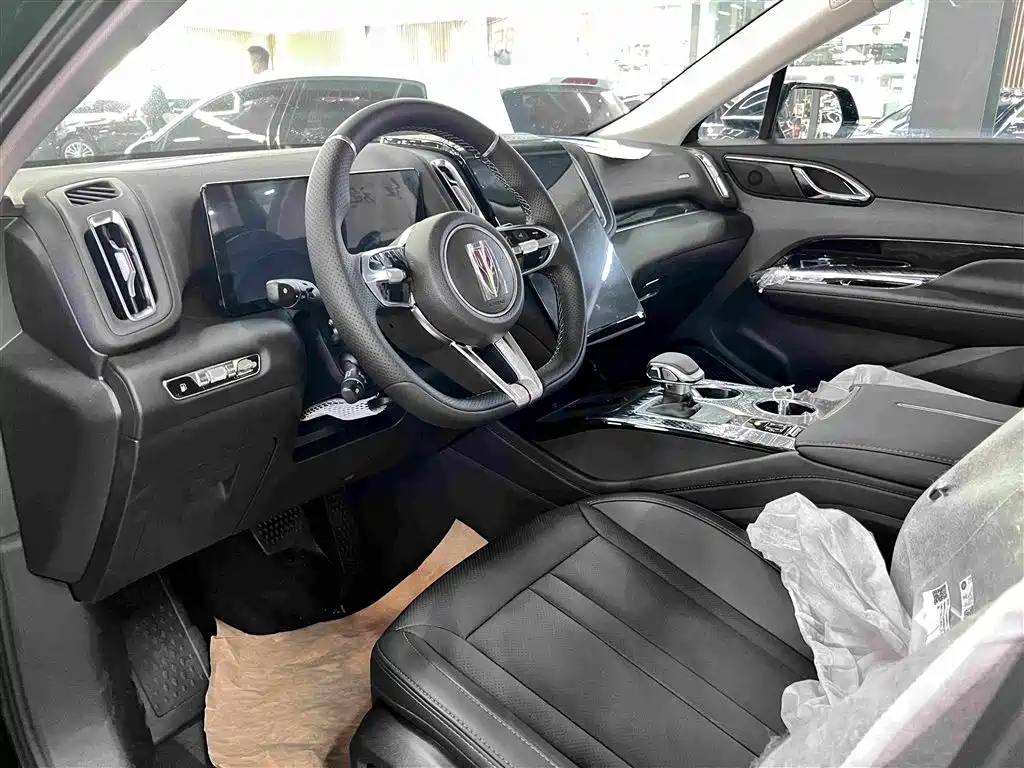 Hongqi HS3 PHEV 115 km Power Action
