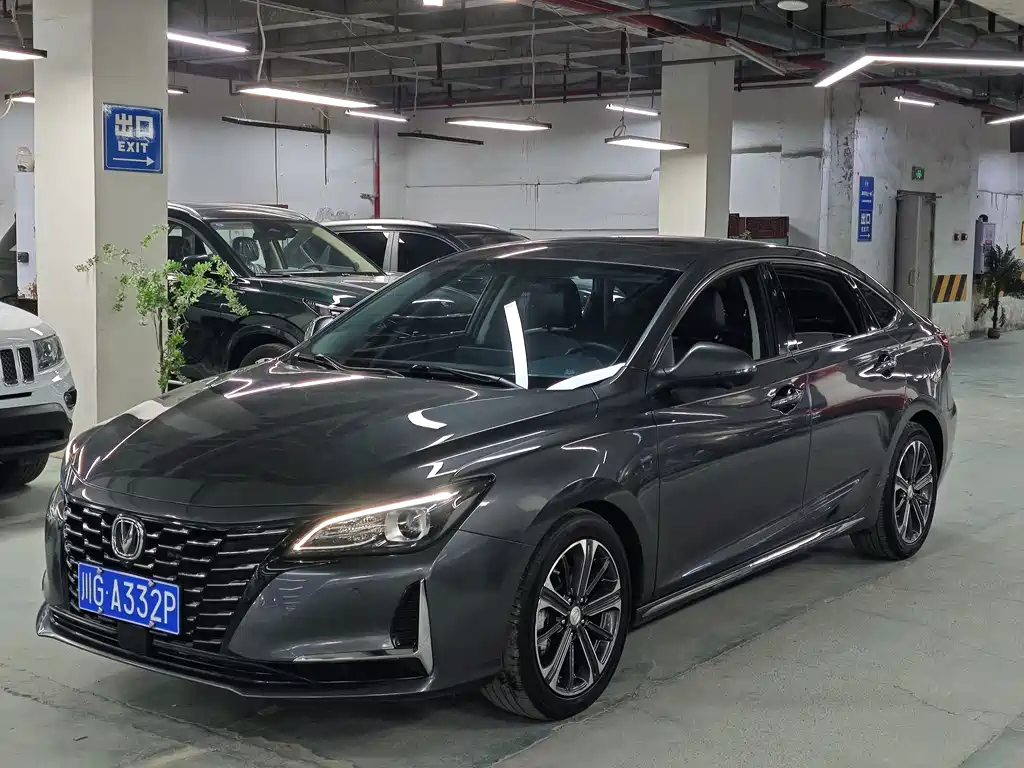 Ruicheng CC Blue Whale 1.5 T DCT Luxury
