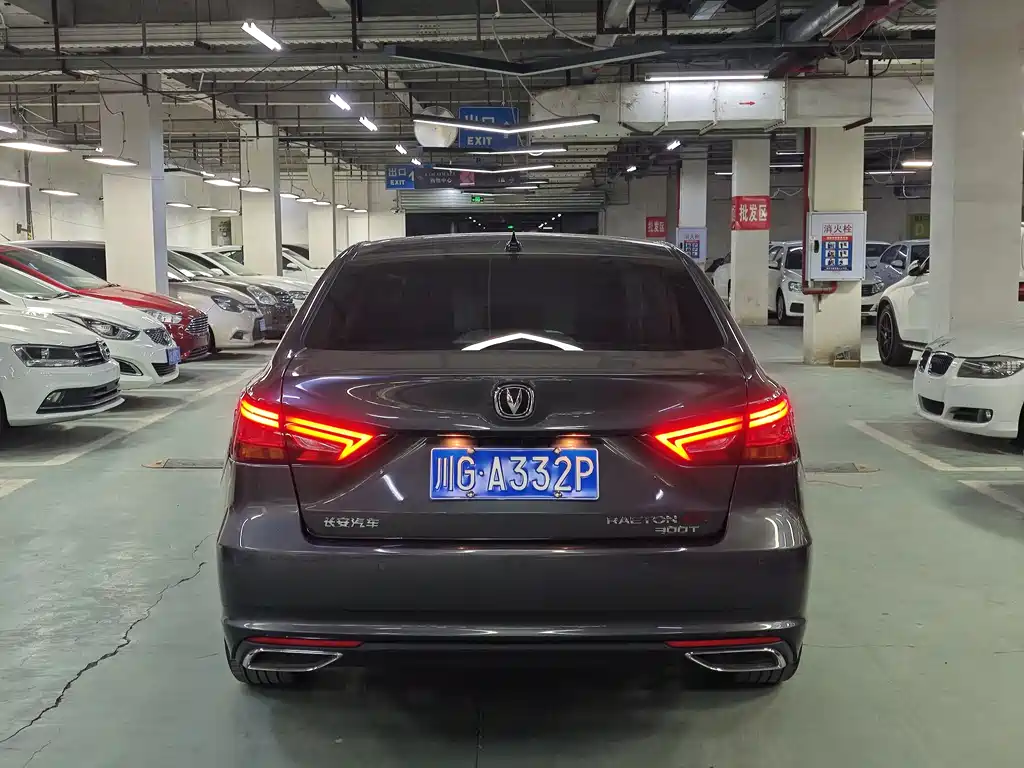 Ruicheng CC Blue Whale 1.5 T DCT Luxury